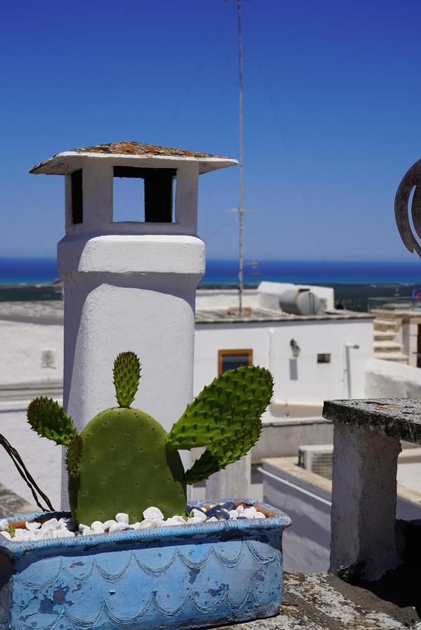 Вилла Casabella - Con Terrazza Panoramica Остуни Экстерьер фото